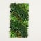 20" x 40" Hawaiian Islands Artificial Living Wall Panel